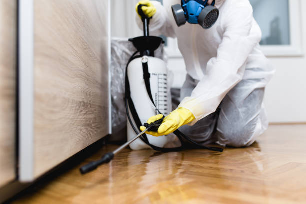 Reliable Kaysville, UT Pest Control Solutions