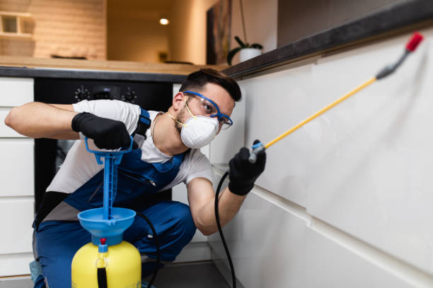 Best Emergency Pest Control  in Kaysville, UT