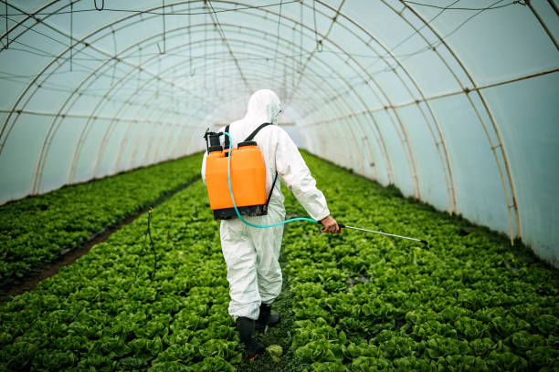 Pest Control Cost in Kaysville, UT