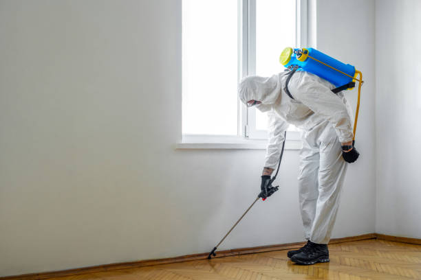 Best Residential Pest Control  in Kaysville, UT