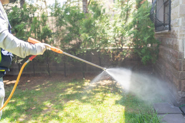 Best Termite Control Services  in Kaysville, UT