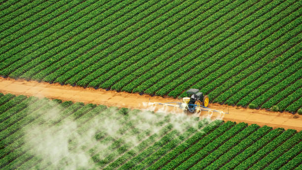 Best Commercial Pest Control Services  in Kaysville, UT