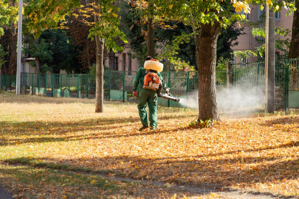 Best Wasp Removal Services  in Kaysville, UT