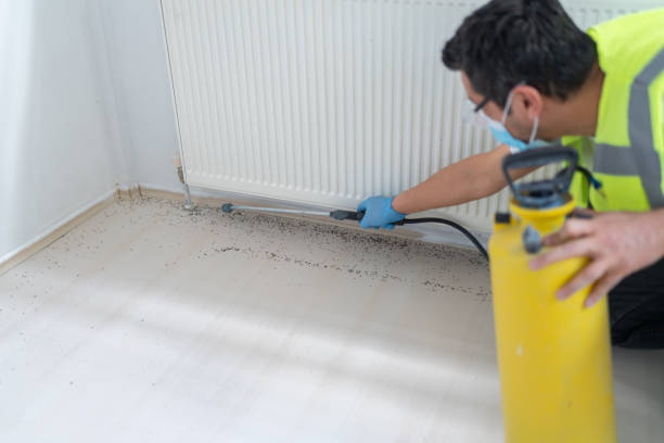 Best Exterminator Services  in Kaysville, UT