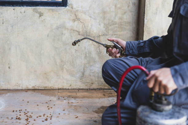 Best Pest Control Near Me  in Kaysville, UT